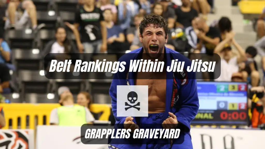 belt rankings in jiu jitsu