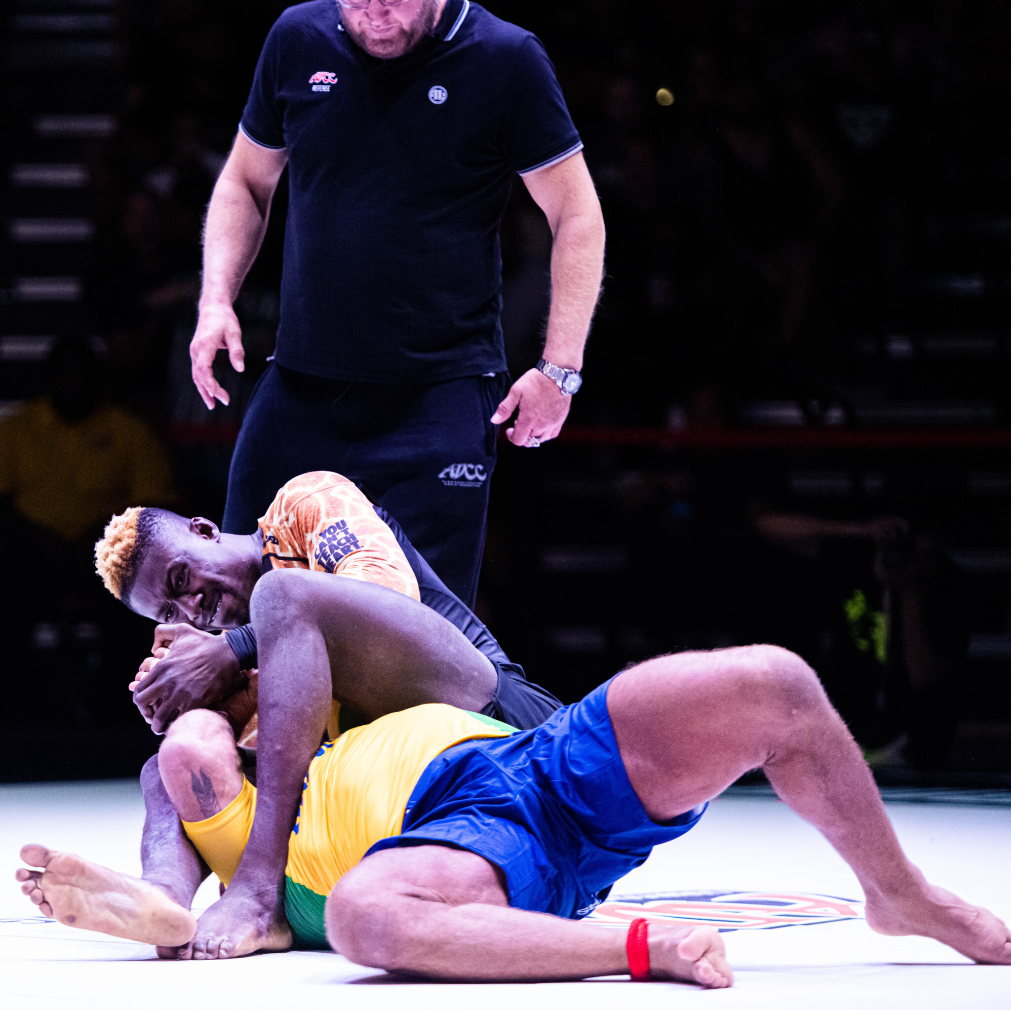 Jiu-Jitsu vs Wrestling