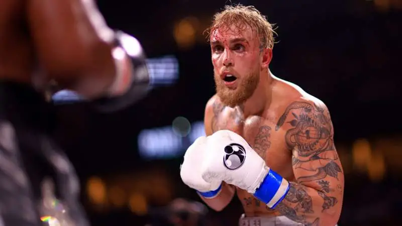jake paul mma