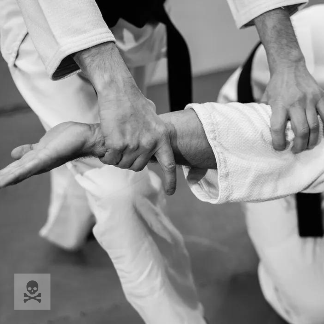 other martial arts - aikido
