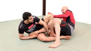 what is ibjjf reaping