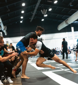 what is adcc absolute