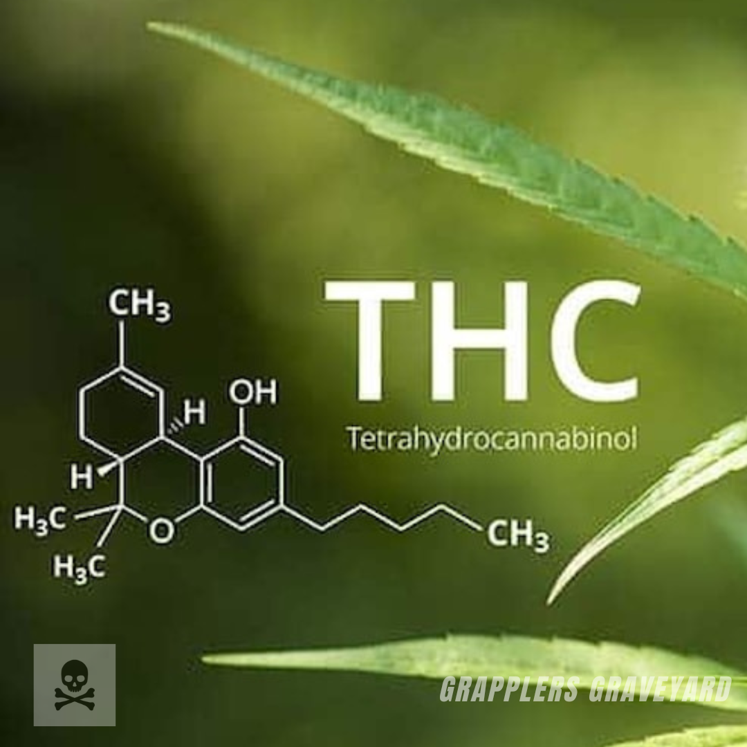 edibles meaning, thc