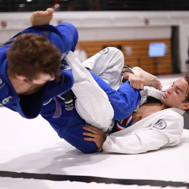 gi tournaments for bjj weight classes