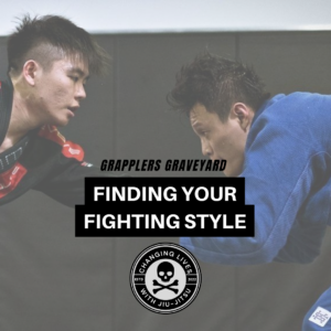 finding your fight style
