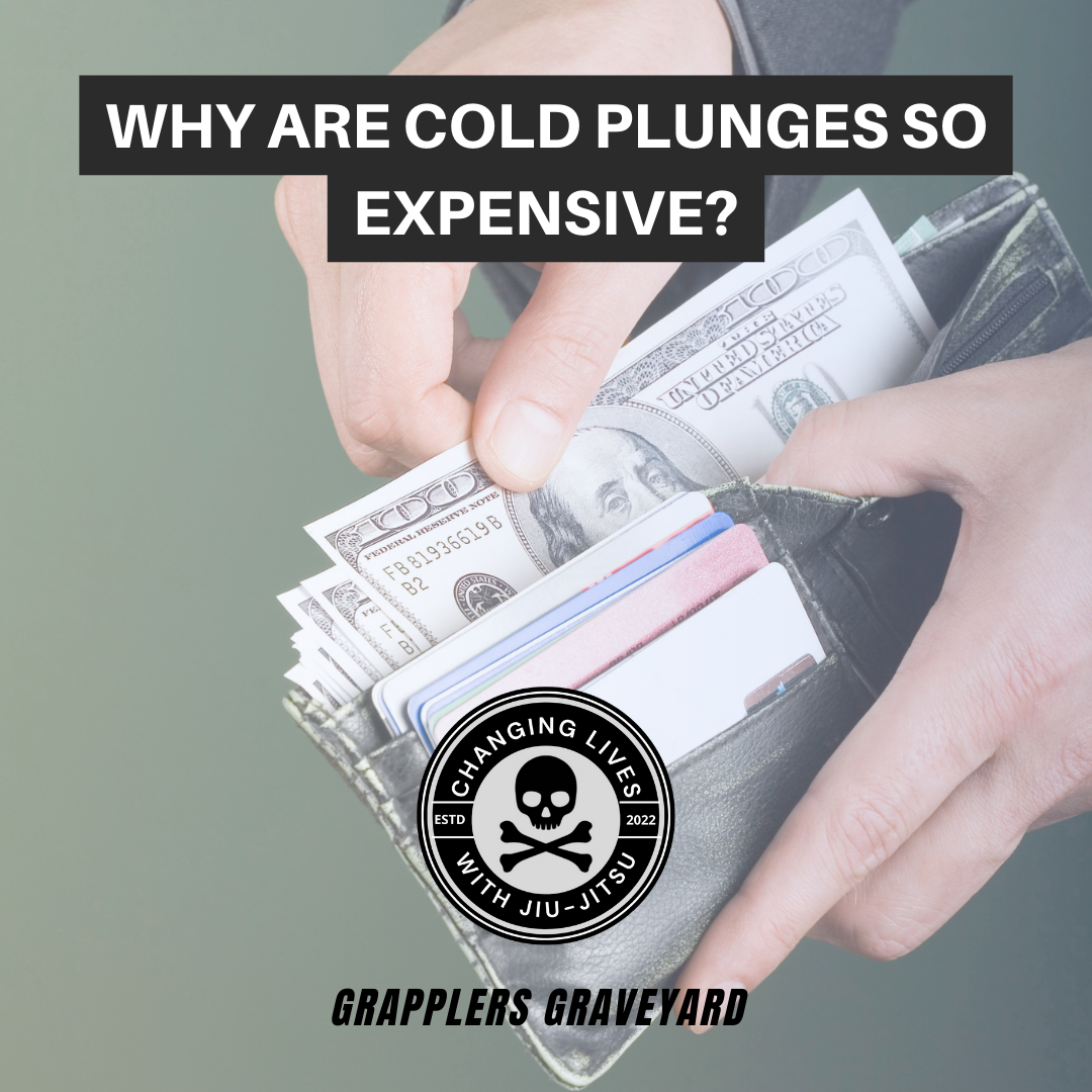why are cold plunges so expensive
