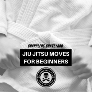 jiu jitsu moves