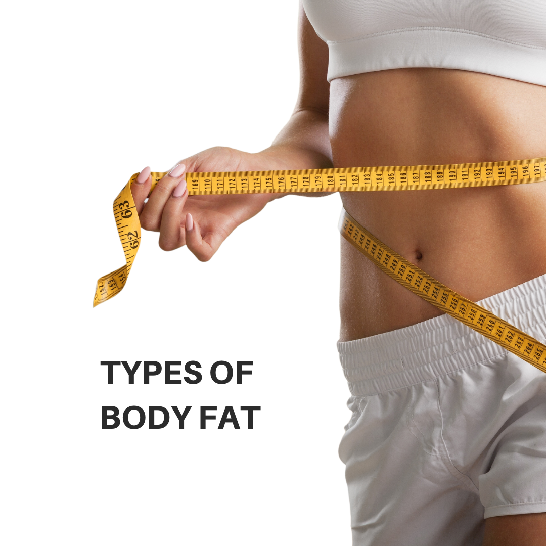  types of body fat