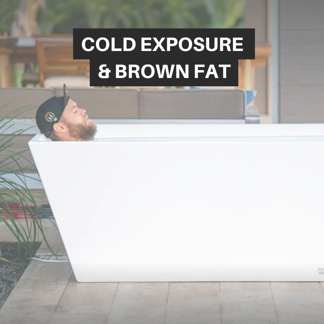 brown fat activation with cold plunging