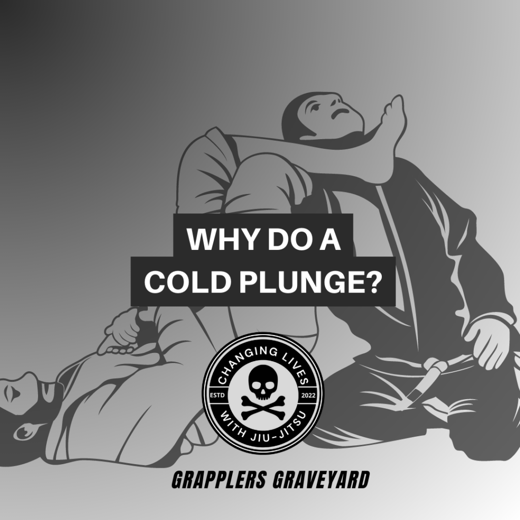 why do a cold plunge