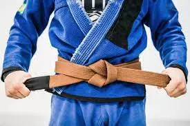 Close Up Of A Bjj Brown Belt Stock Photo - Download Image Now - Jujitsu,  Belt, Brown - iStock