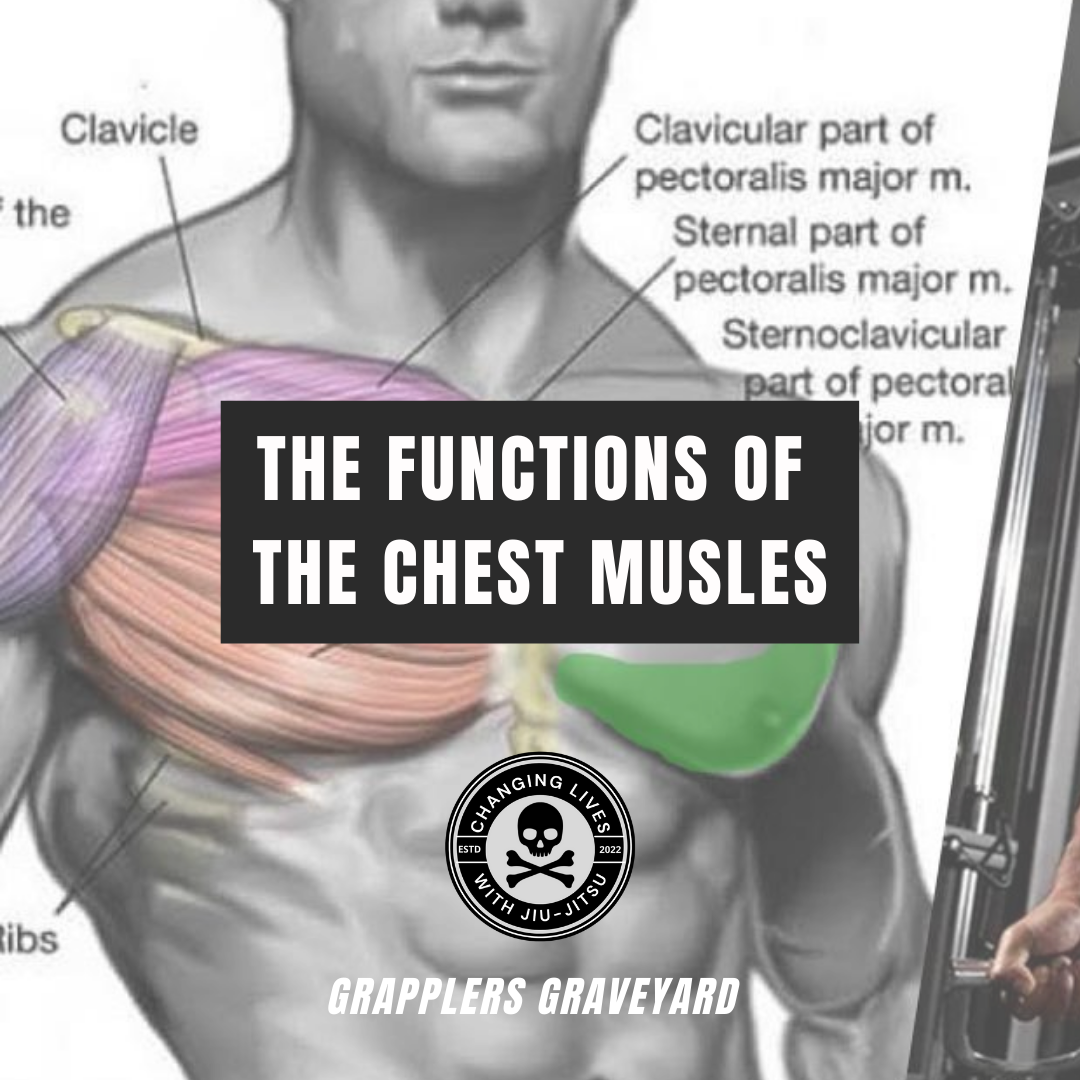 chest activation and heavy overload with kettlebell chest exercises will build muscle