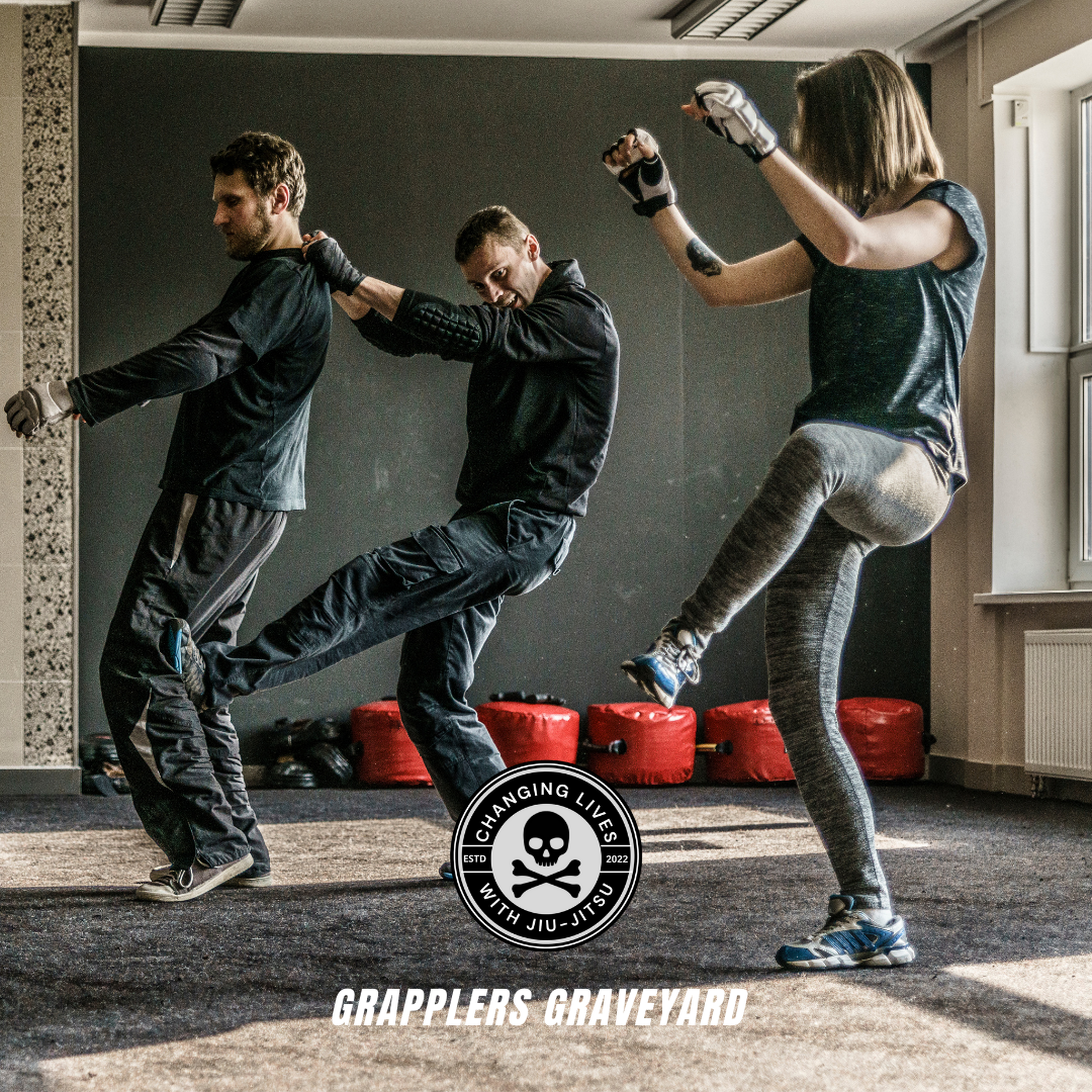 jiu jitsu vs krav maga