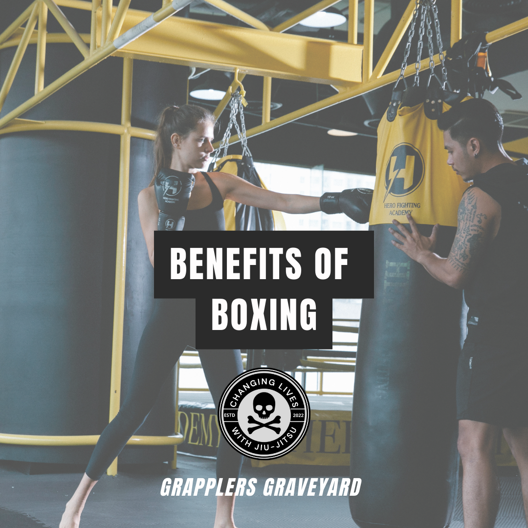 benefits of boxing, best punching pags for home gym