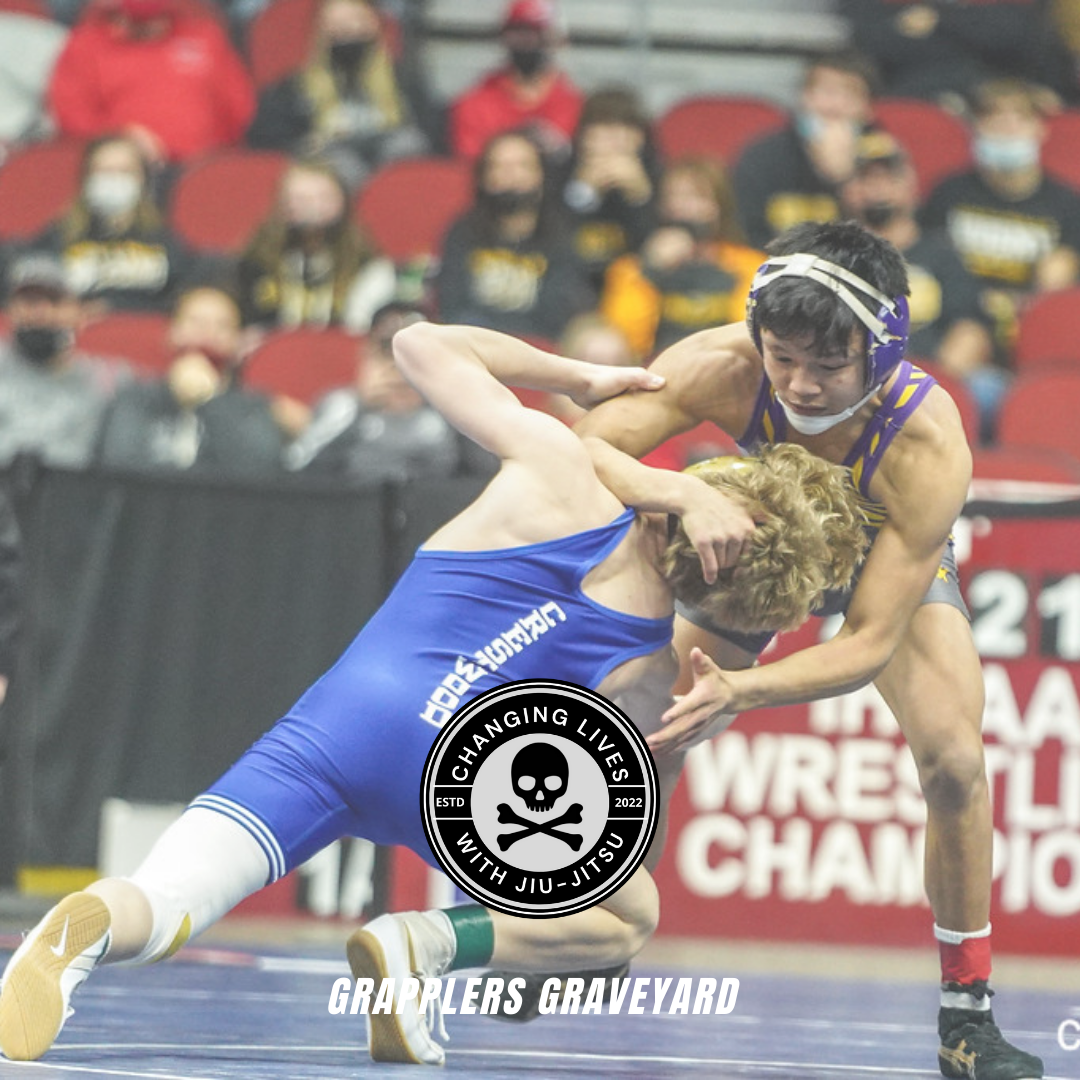 wrestling moves, professional wrestling, professional wrestling moves