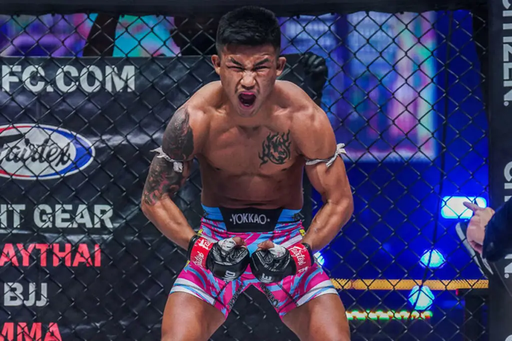 can boxing gloves be used for muay thai