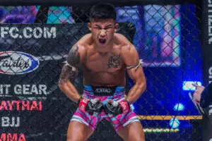 can boxing gloves be used for muay thai
