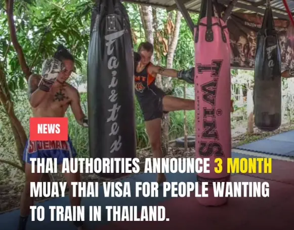muay thai, combat sport, gyms in thailand