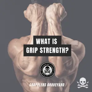 what is grip strength