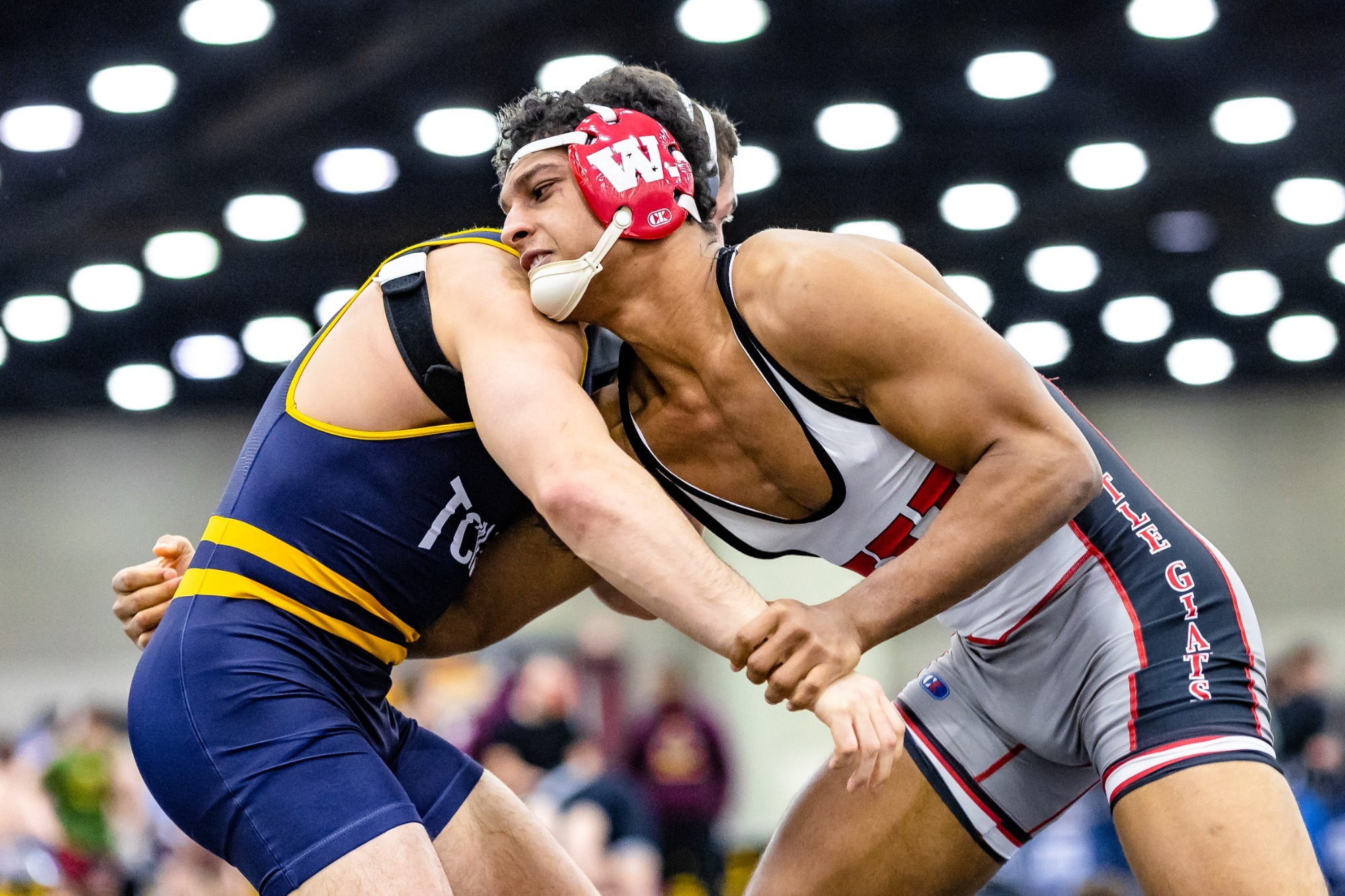 why you need to wrestle