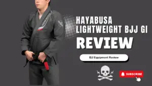 hayabusa gi review