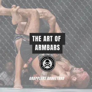 how to do an arm bar in bjj