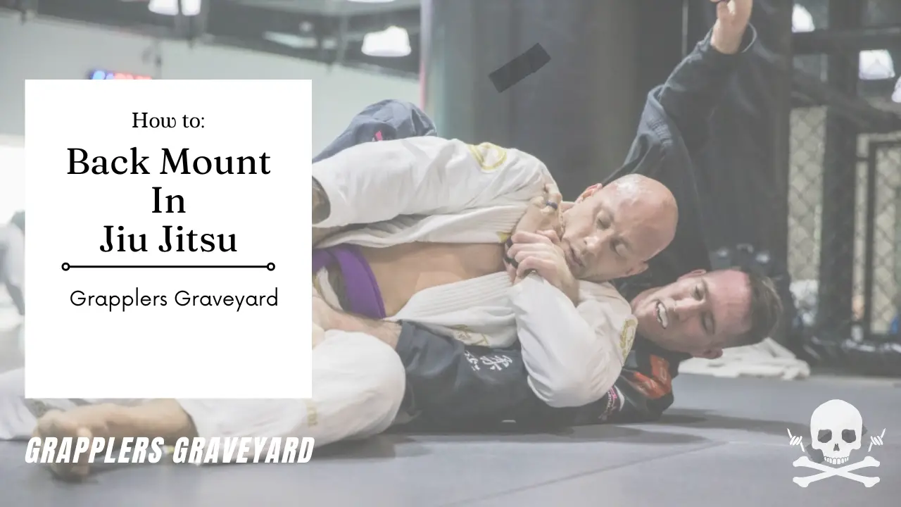 back mount bjj