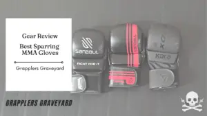 mma sparring gloves