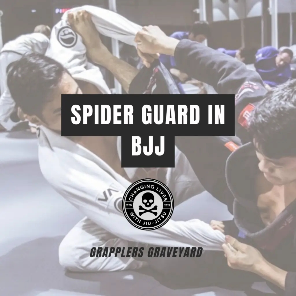 spider guard bjj