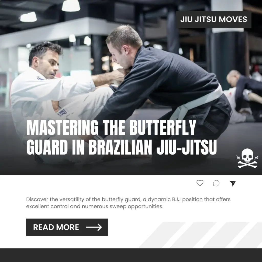 butterfly guard bjj