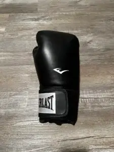 Everlast Boxing Glove Review