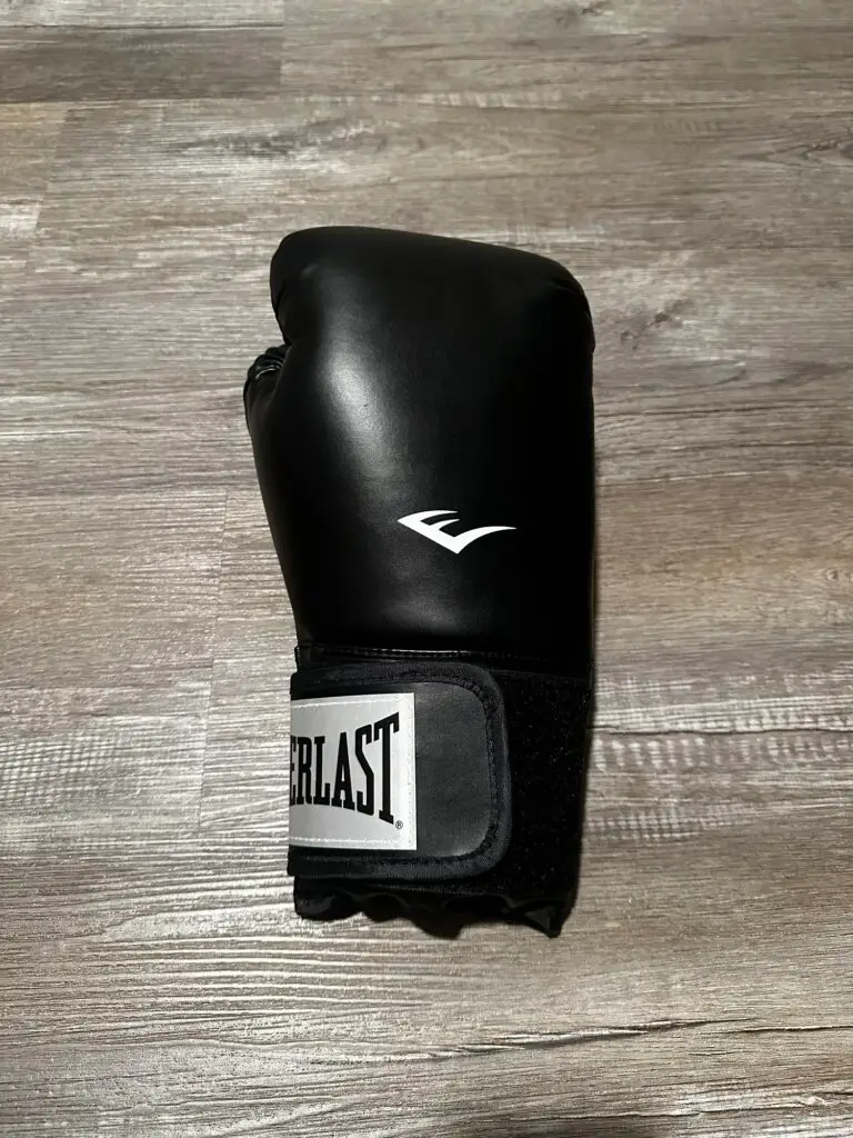 Everlast Boxing Glove Review