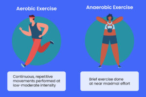 Aerobic vs Anaerobic Systems In MMA
