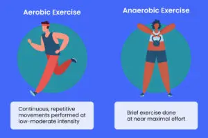 Aerobic vs Anaerobic Systems In MMA