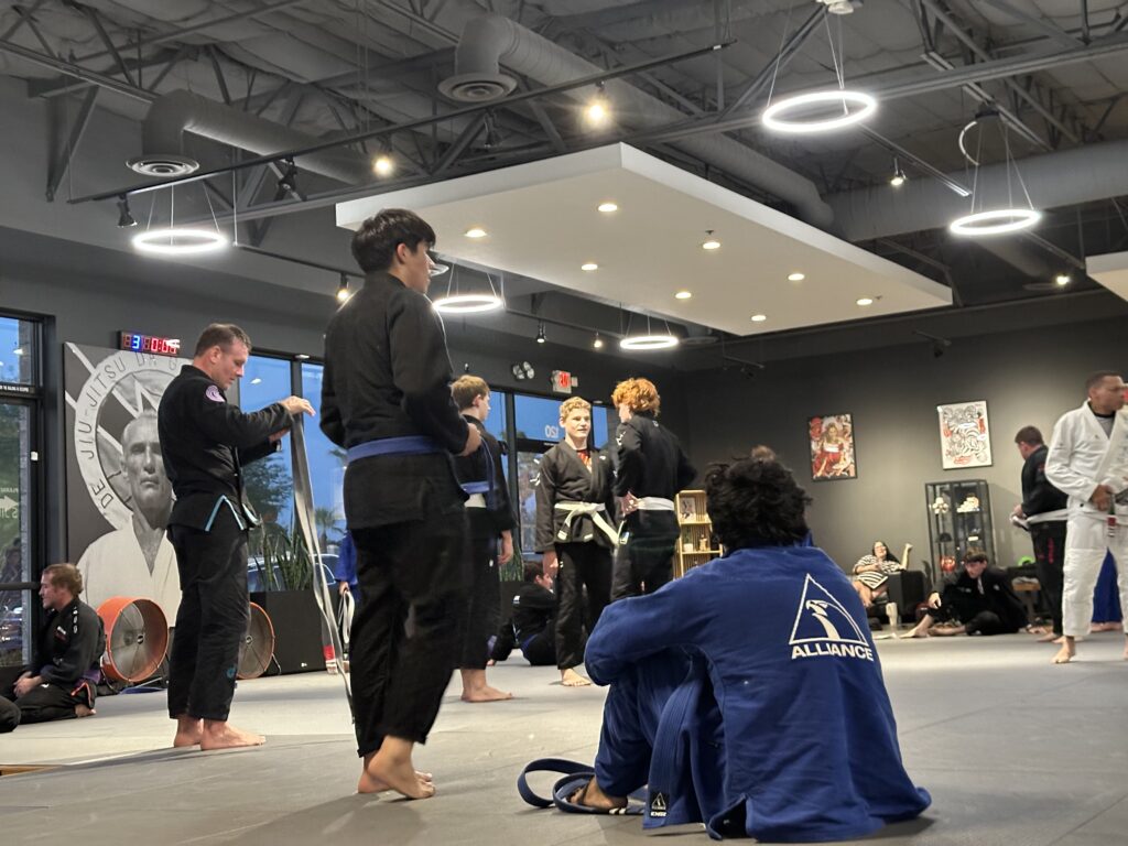 what is BJJ