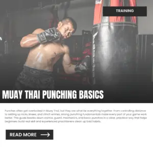 Muay Thai Punching Basics