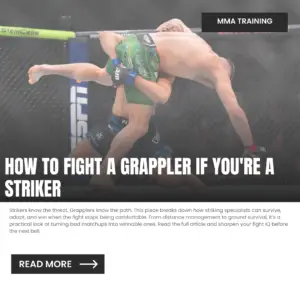 how to fight a grappler if you're a striker