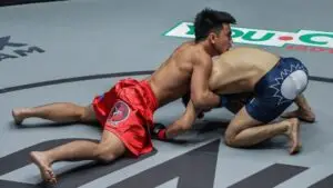 How To Fight A Grappler If You're A Striker