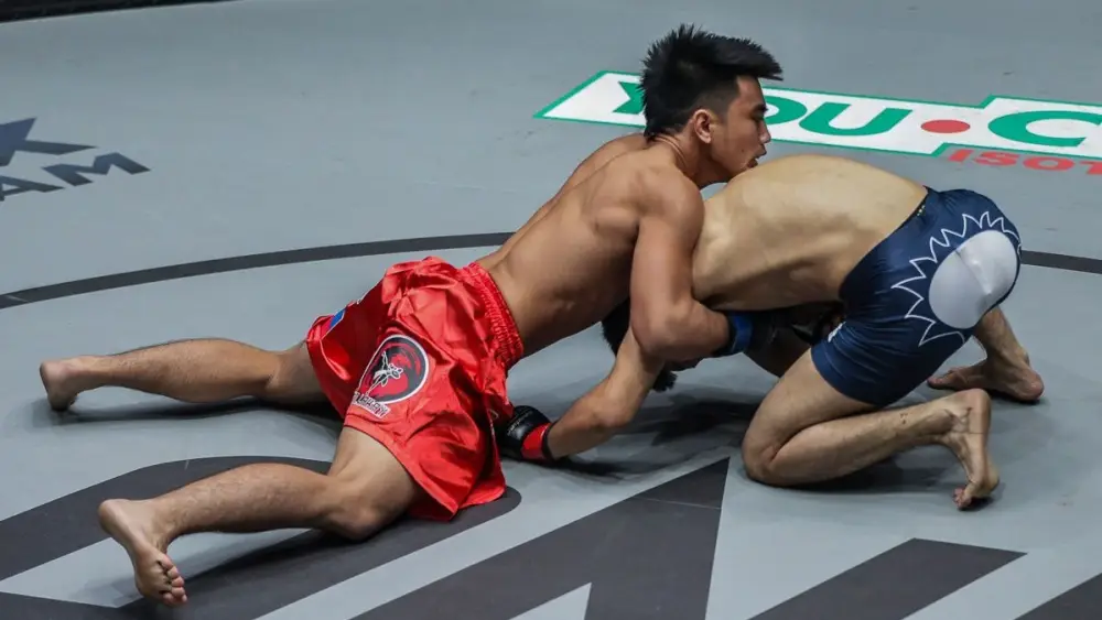 How To Fight A Grappler If You're A Striker