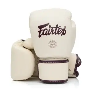 Fairtex BGV16 Leather Muay Thai Boxing Gloves