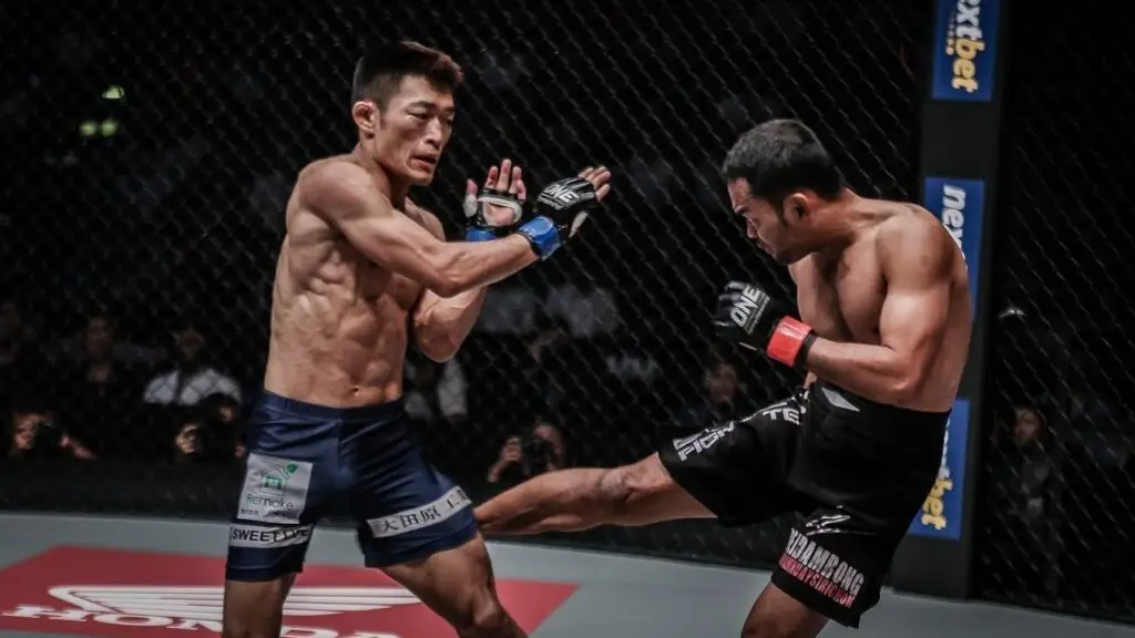 How To Set Up Low Kicks